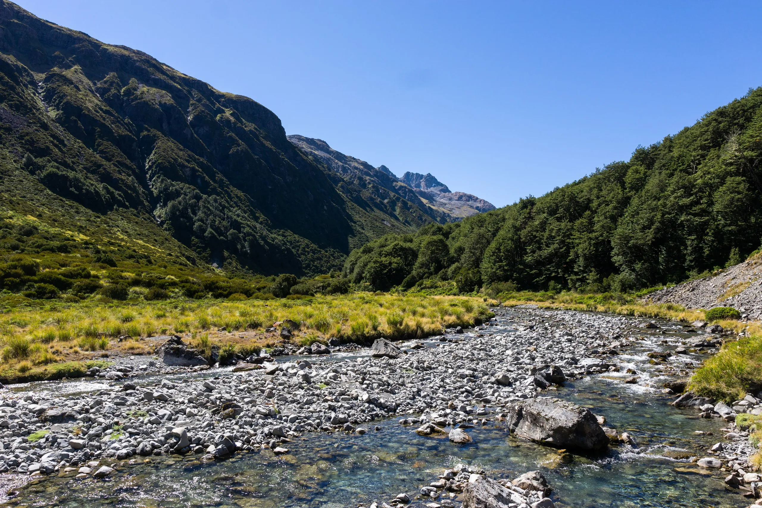 Edwards Hut Track | Albert Nisbet